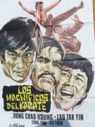 Los magnificos del karate