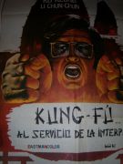 kung fu al servicio de la interpol